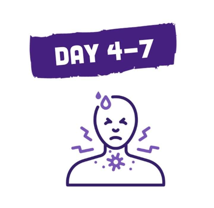 day 4-7 label with icon of human chest and face with nasal congestion from common cold
