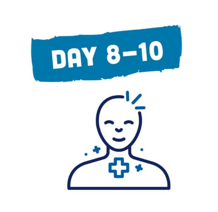 day 8-10 label with icon of human chest and face feeling better from common cold