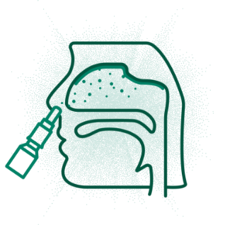 green icon of Afrin nasal spray bottle going into a nose on profile of a face with nasal cavity